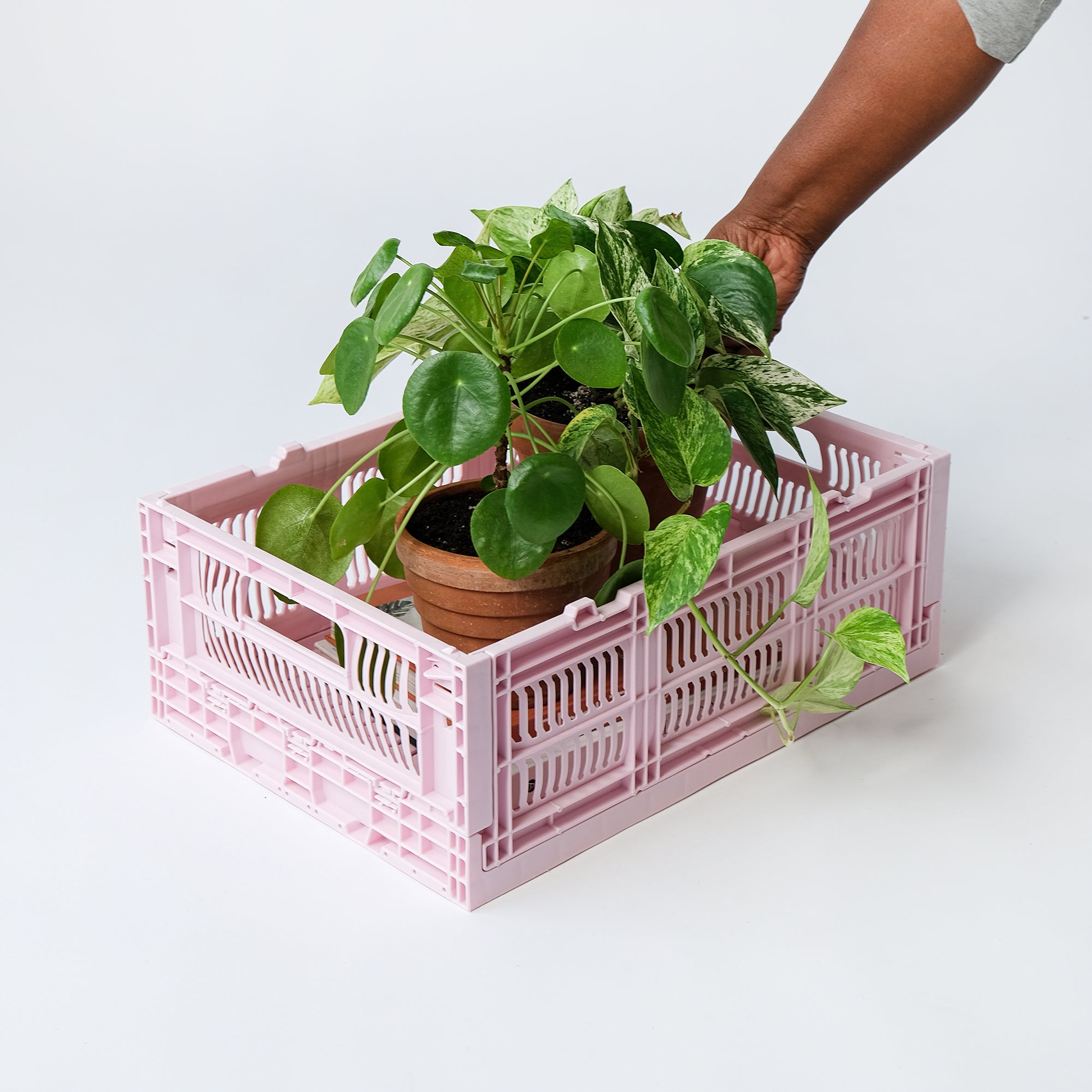 Bundle Pack | Heavy Duty Medium Short Storage Crate, Set of 4