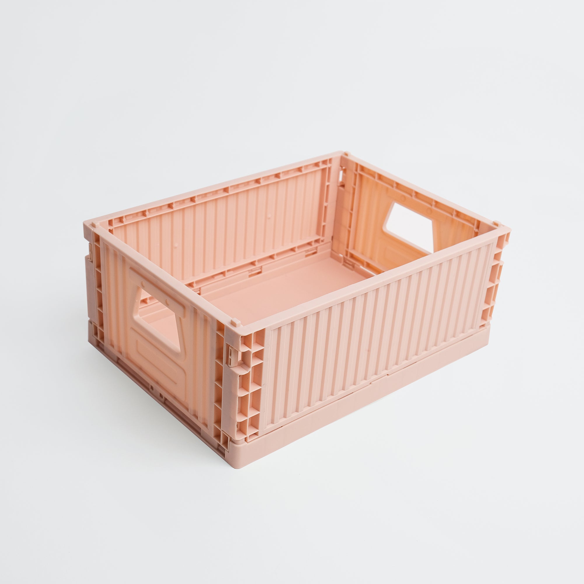 Bundle Pack | Medium, Set of 6