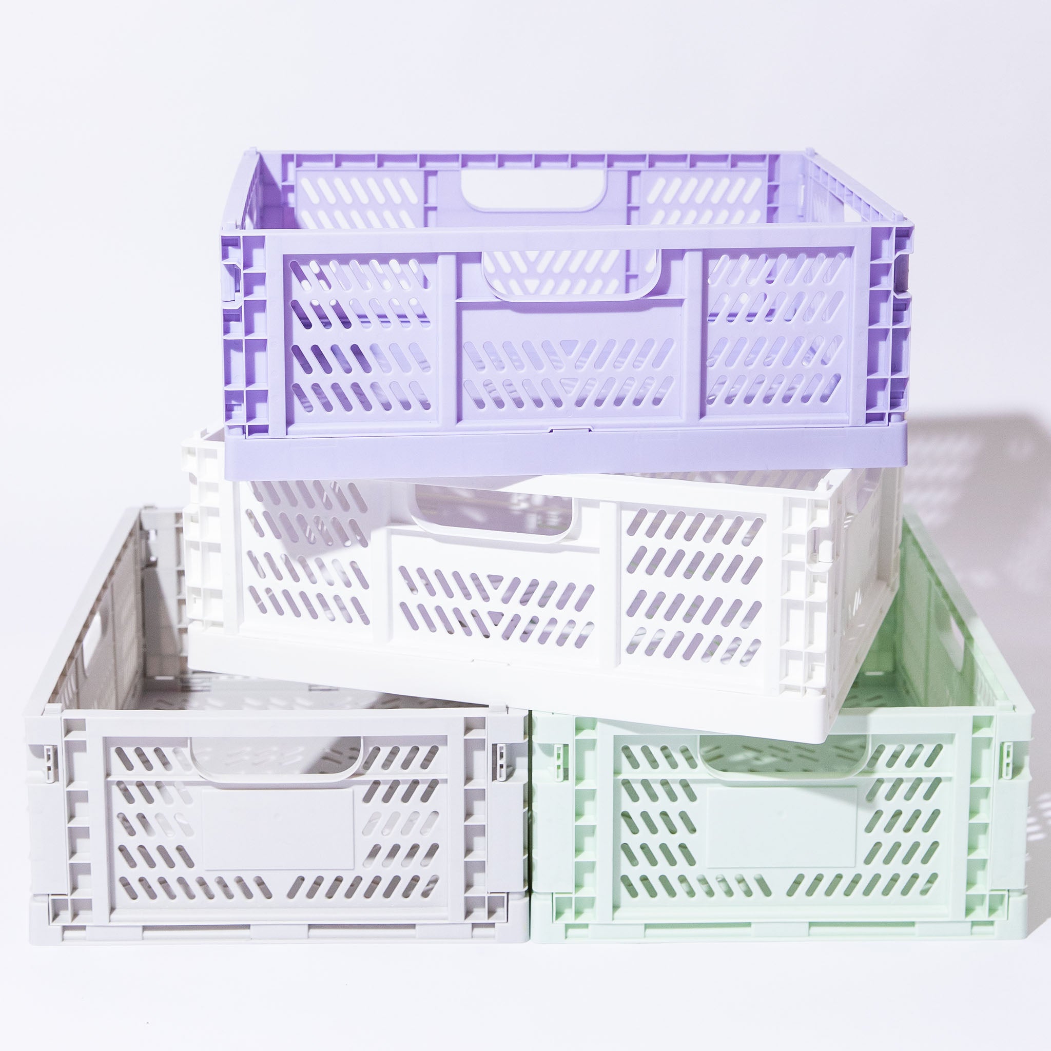 Bundle Pack | Large, Set of 5